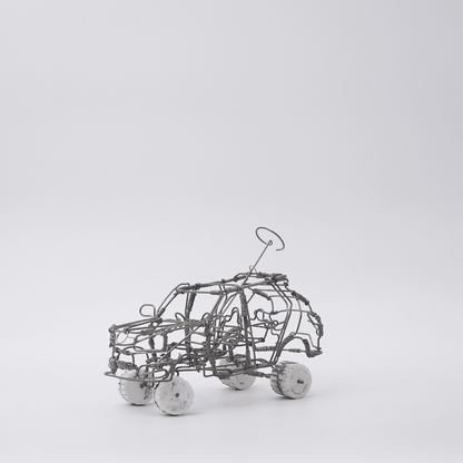 Shaun Display suv #284